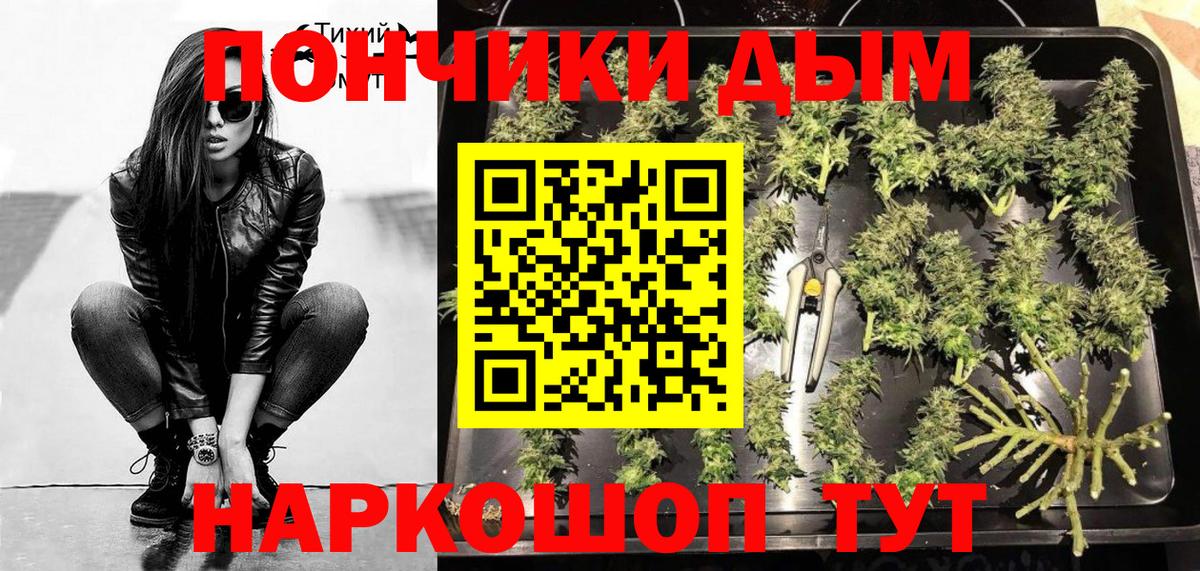 Конопля ГИДРОПОН  Каннабис индика  Бошки Шишки SATIVA & INDICA  Новороссийск  Марихуана ГИДРОПОН  Вход с VPN 