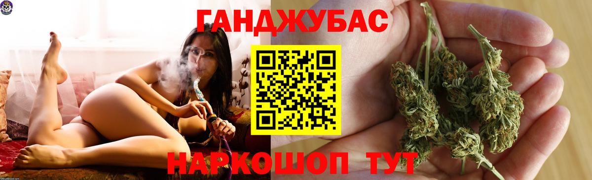 Каннабис сатива Новороссийск